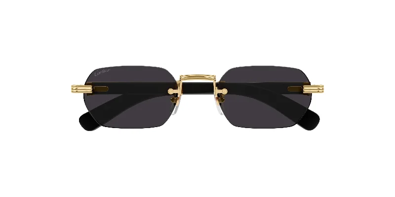 sunglasses for tech-inspired design -  Première D CT0362S Cartier Sunglasses